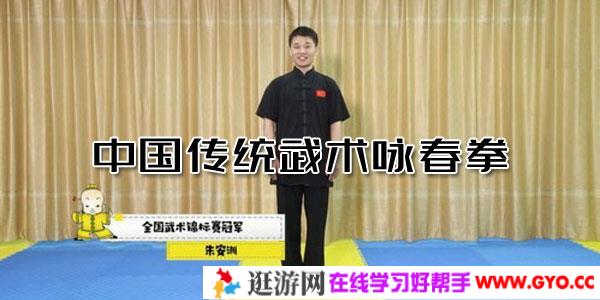 凯叔-中国传统武术咏春拳儿童启蒙课