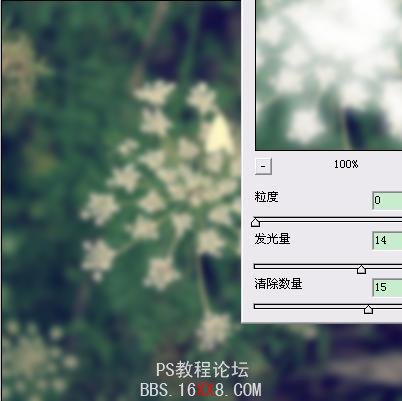 Photoshop为普通花卉照片添加柔和艺术效果,PS教程,思缘教程网