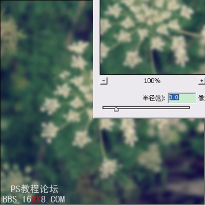 Photoshop为普通花卉照片添加柔和艺术效果,PS教程,思缘教程网